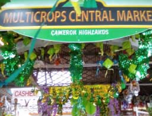 Multicrops Central Market