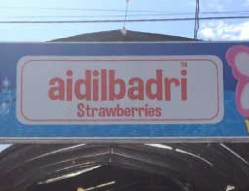 AidilBadri Strawberry